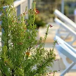 Spacious In With Private Pool