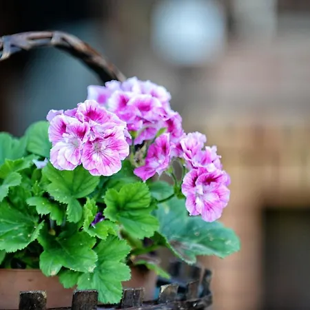 빌라 Spacious In With Private Pool *