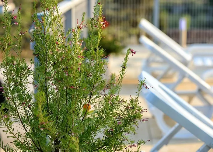 Spacious In With Private Pool