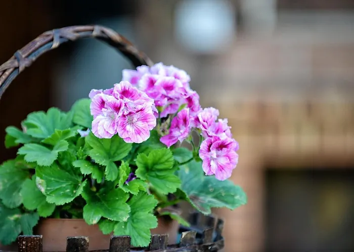 Villa Spacious In With Private Pool *