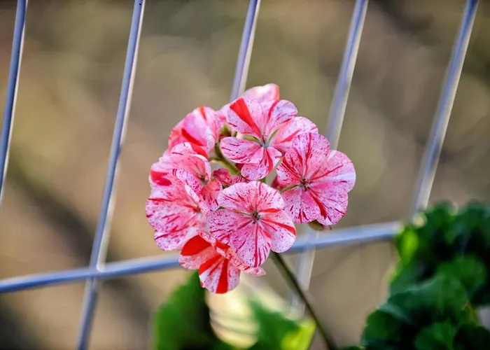 Villa Spacious In With Private Pool